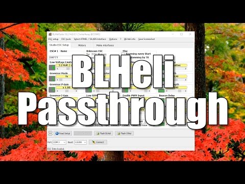 How To Use BLHeli Passthrough to Program BLHeli ESCs