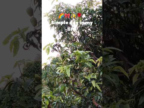 A Simple day in my life ✨🌸✨ #Adayinmylife #food #minivlog #shorts