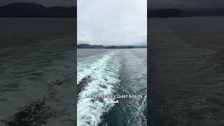 More great views in Alaska #cruise #travel #virginvoyages