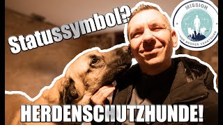 Herdenschutzhunde | GEFÄHRLICHES STATUSSYMBOL??? | Mission Hunde besser verstehen!