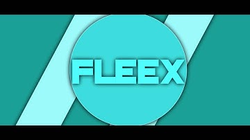 Intro #12 FLEEX // 2D STYLE