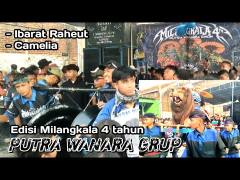 Ibarat Raheut, Camelia - Edisi Milangkala 4 tahun Seni Reak Putra Wanara Grup
