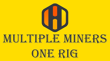 Two Miners On Same Rig HiveOS