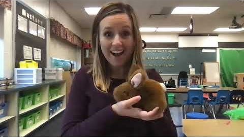 Second Step Lesson 6