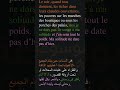 la boîte à merveille premier chapitre