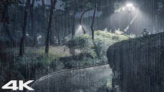Goodbye Insomnia | Heavy Thunder & Torrential Rain Sounds on Park at Cozy Night