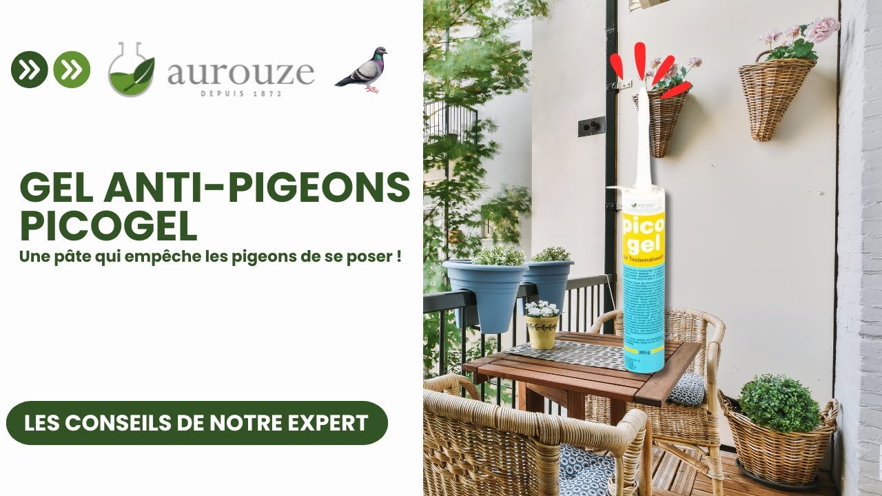 Repulsif Pigeon Altea Répulsif Pigeons Spray - Protection Longue Durée Balcons Et Terrasses - 750 Ml Prêt à L'emploi éloigner Oiseaux Balcon Repulsif Pigeon Altea Répulsif Pigeons Spray - Protection Longue Durée Balcons Et Terrasses - 750 Ml Prêt à L'emploi éloigner Oiseaux Balcon
