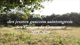 Best Of Des Jeunes Gascons Saintongeois Des Gorges De Conomor 2019-2020