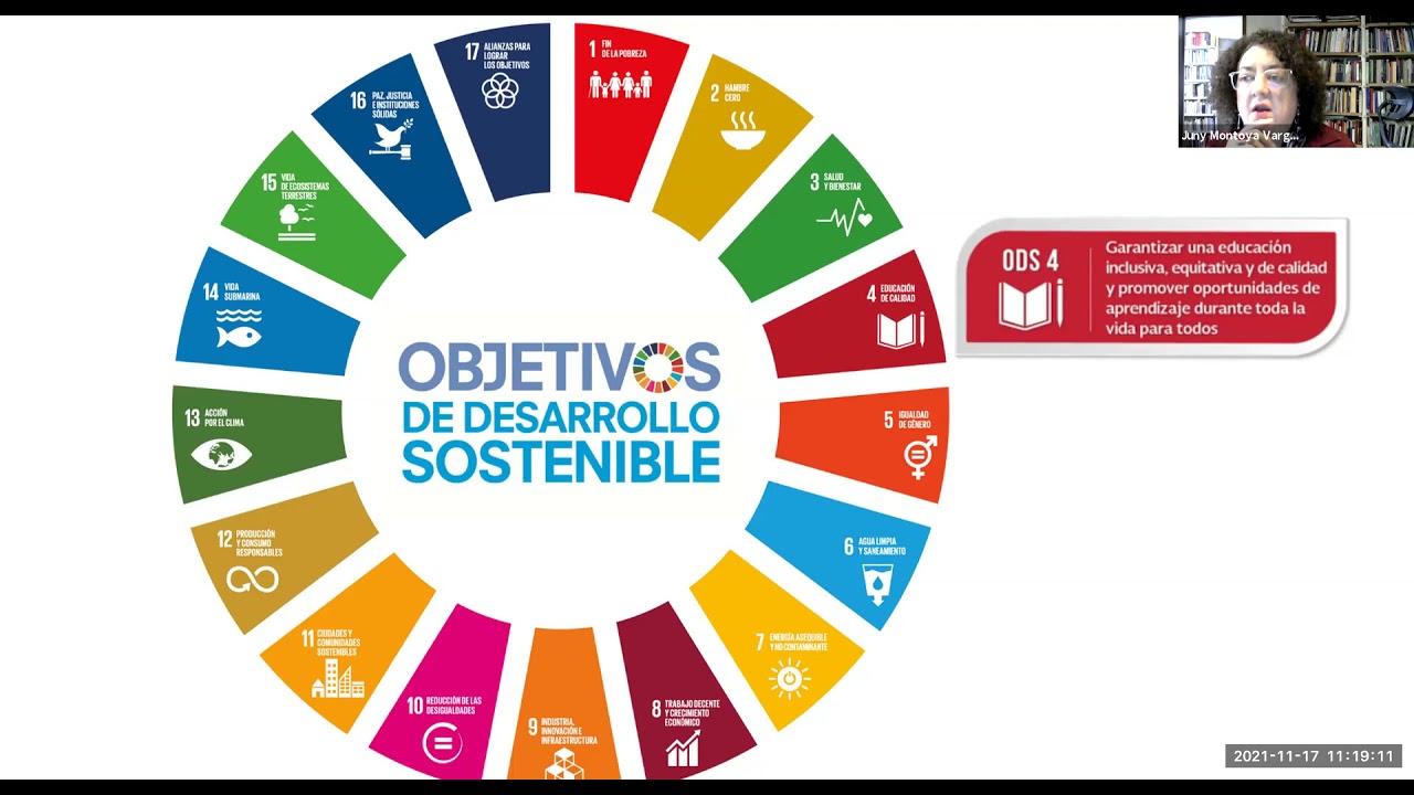 Panel ODS 4: Educación de calidad - YouTube