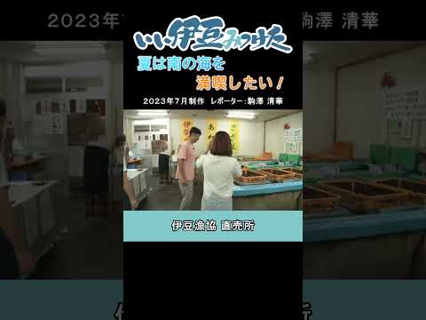 【南伊豆町】 伊豆漁協 直売所 #shorts #いい伊豆みつけた