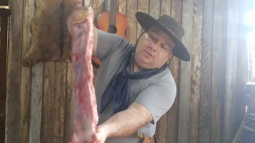 Quais tipos de costela bovina?
