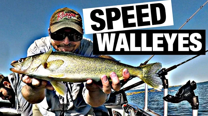 Crank up the Speed - On Fire Summer Walleye