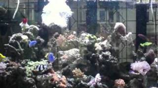 IMAG0040.AVI