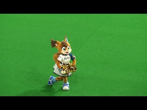 20190612 ファイターズのスタメンを身体で表現するポリーちゃん