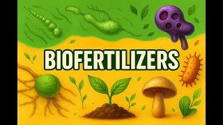 BIOFERTILIZERS | Natural Fertilizers Explained | Types, Importance & Limitations #OrganicFarming