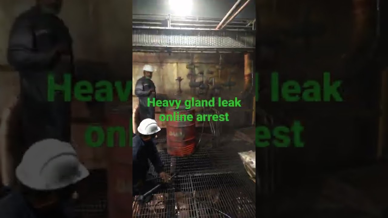 valve gland online leak sealing