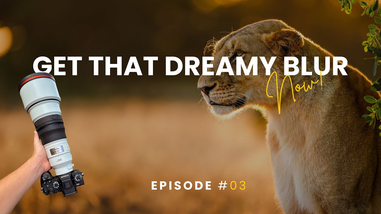 Understanding Aperture & Depth of Field for Wildlife Photography | ORYX Photo Tours Episode 3