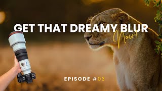 Understanding Aperture & Depth of Field for Wildlife Photography | ORYX Photo Tours Episode 3