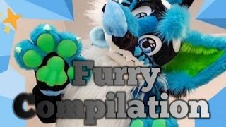 Furry Compilation #17 // [E] // fan made by TheFurryFox™ //