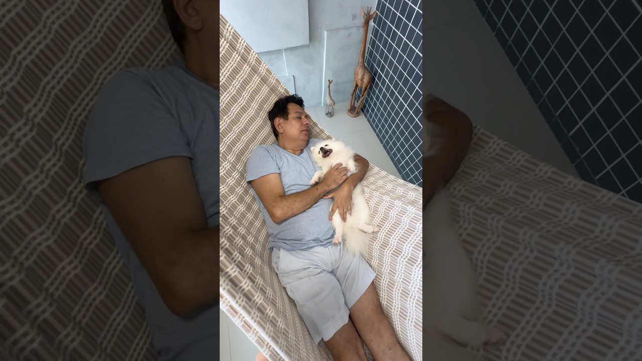 Quando dizem que pai Não tem filho Favorito #belabagunca