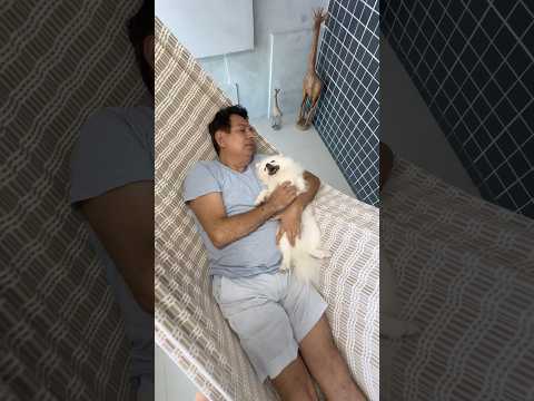 Quando dizem que pai Não tem filho Favorito #belabagunca