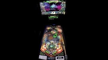 Teenage Mutant Ninja Turtles (Data East) pup pack vpx