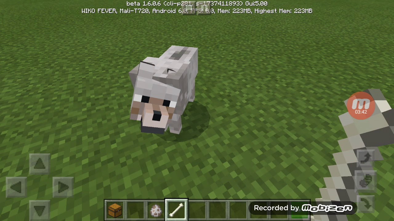 Minecraft tuto apprivoiser des chien et des chat - YouTube