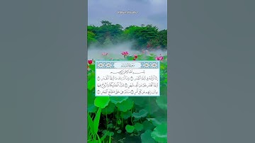 #سورة_القدر  #قرآن #راحة_نفسية #islam #quran #رمضان