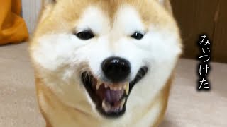 破壊王子が見つけたものとは、、、