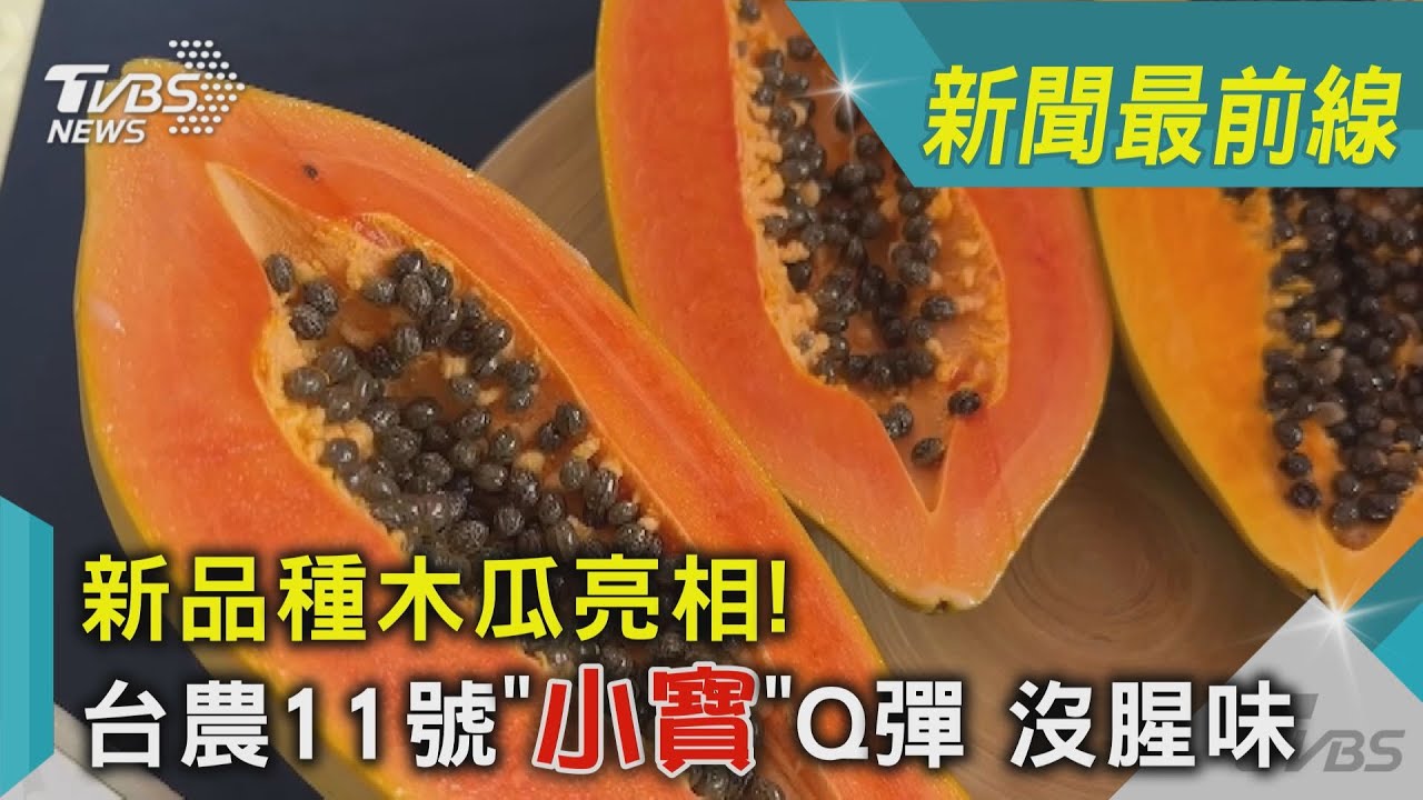 新品種木瓜亮相 台農11號 小寶 Q彈沒腥味 Tvbs新聞 Youtube