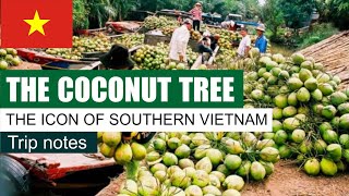 Vietnam Travel Guide: THE COCONUT TREE – THE ICON OF SOUTHERN VIETNAM screenshot 1