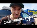 Какие курсы программирования выбрать? Платные vs Бесплатные курсы