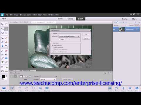 Adobe Photoshop Elements 12 Tutorial Making Selections Employee Group Training  8.10