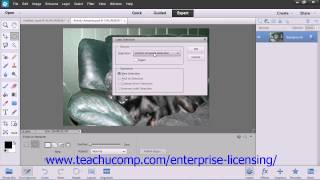 Adobe Photoshop Elements 12 Tutorial Making Selections Employee Group Training  8.10