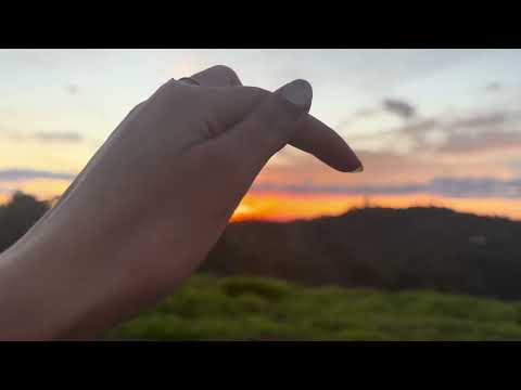 ASMR NATURE TRACING 🌿