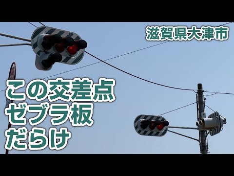 ゼブラ! ゼブラ!! ゼブラ!!! 背面板だらけの信号交差点 滋賀県