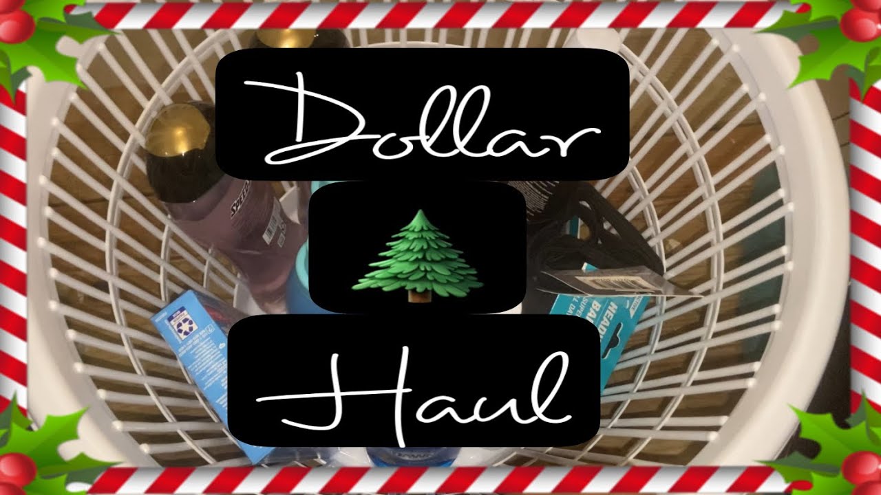 VLOGMAS DAY 4 DOLLAR TREE BODY CARE AND LAUNDRY CARE HAUL