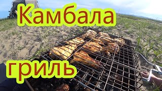 Наловили камбалы и приготовили на мангале на берегу моря