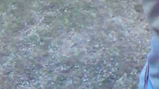 Vid0003.3gp
