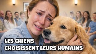 Quand Les Chiens Choisissent Leur Maître Qui Sera Lheureux Élu ?