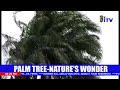 INDEPENDENT TELEVISION MAIN NEWS