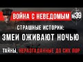 Война с неведомым #39 «Страшные истории: Змеи оживают ночью»