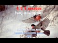 4, 5, 6 декабря: Ежедневный прогноз для всех знаков Зодиака - Романтика, Нежность, Мечта