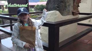 Chatterseed California Missions: Santa Ines
