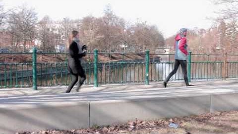 LUUV ACTION GIMBAL for GoPro HERO5 finally available