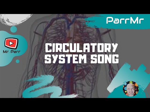 Circulatory System Song class=