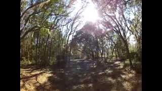 Foster Bridge Camp (Green Swamp West Tract)