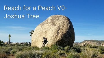 Reach For a Peach V0 | Joshua Tree bouldering