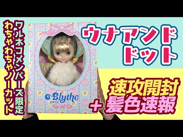 1378 [Members] [Neo Blythe] Una and Dot Unboxing 