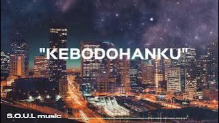 S.O.U.L music || KEBODOHANKU [Vidio lirik]